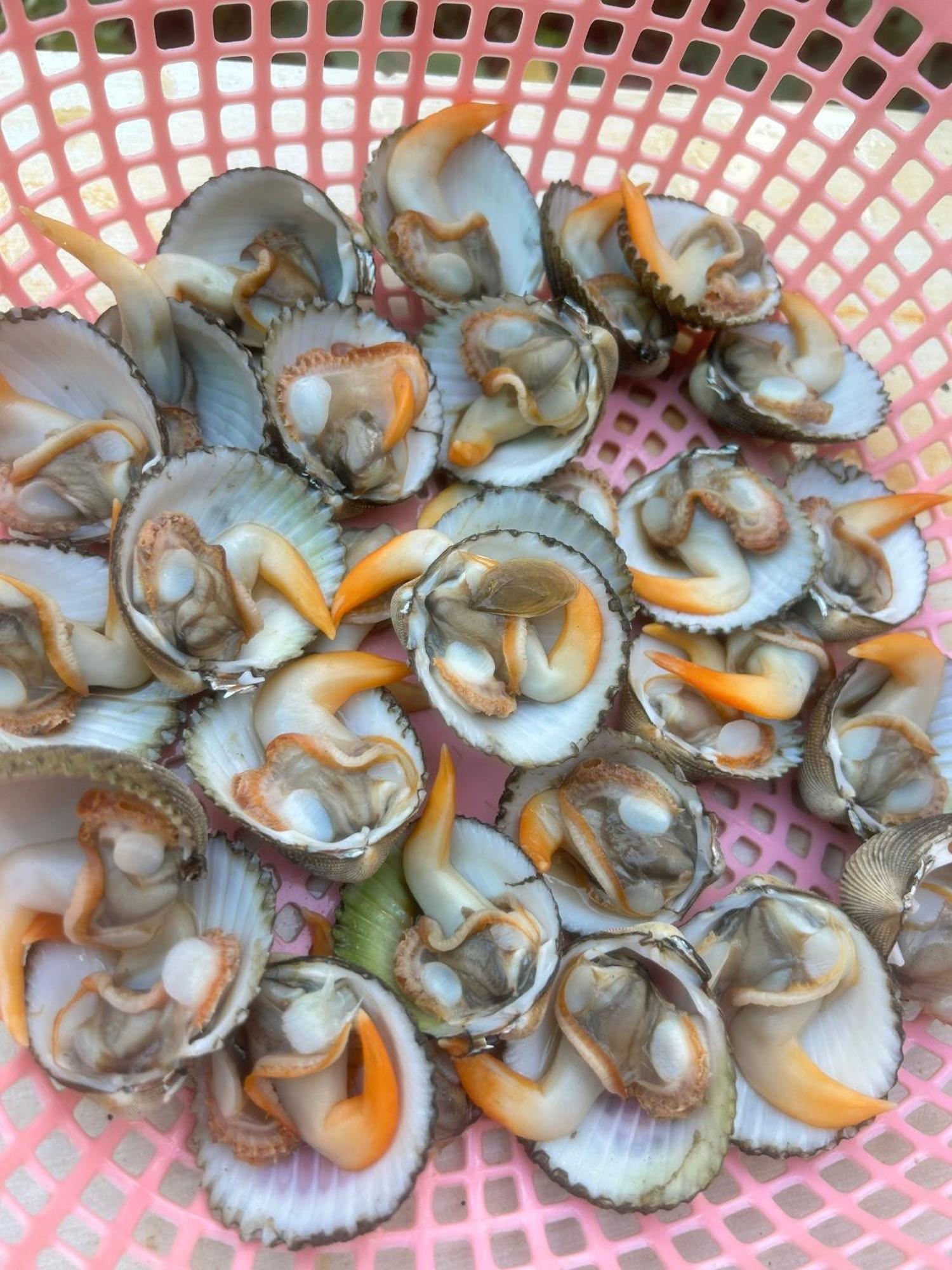 Homestay A Au Family 平州 外观 照片